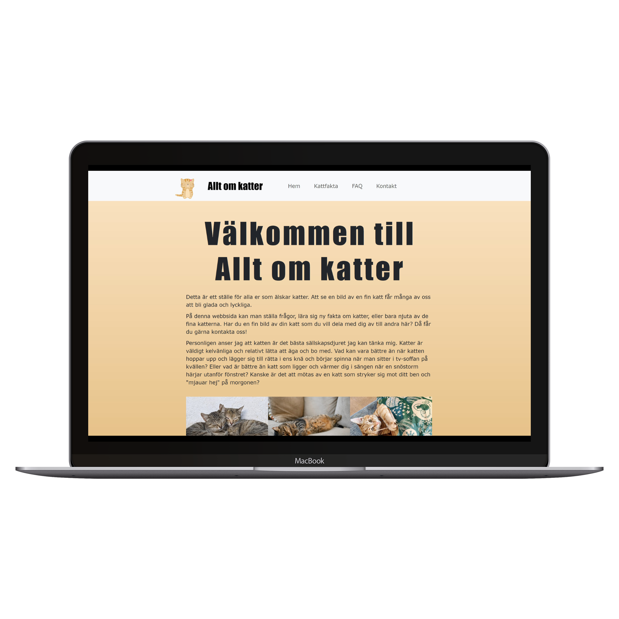 Allt om Katter desktop